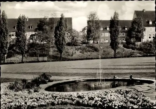 Ak Herford in Nordrhein Westfalen, Entenbrunnen