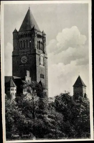 Ak Poznań Posen, Schloss