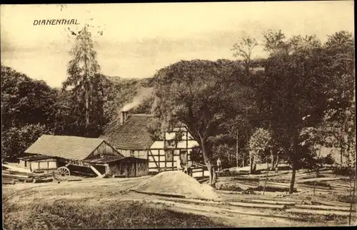 Ak Gozdowice Güstebiese Mieszkowice Bärwalde in der Neumark, Dianenthal