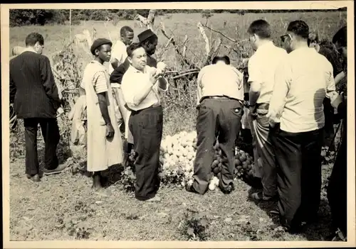 Foto Ak Kindia Guinea, Inspection de la Récolte