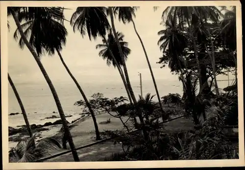 Foto Ak Kindia Guinea, Bord de Mer avec Palmiers