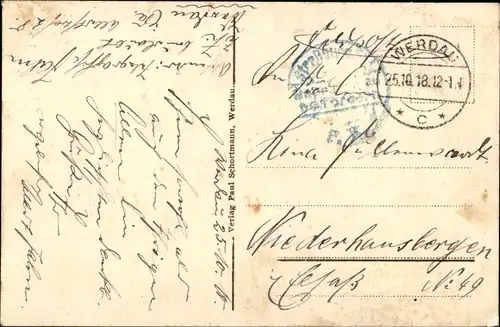 Ak Werdau an der Pleiße in Sachsen, Villen an der Schützenstraße