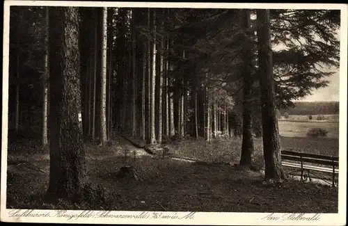 Ak Königsfeld im Schwarzwald Baar Kreis, Waldpartie, Bank, Spazierweg