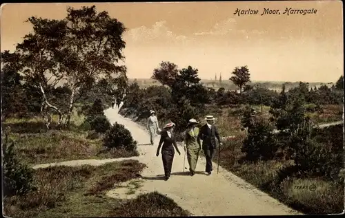 Ak Harrogate Knaresborough Yorkshire England, Harlow Moor