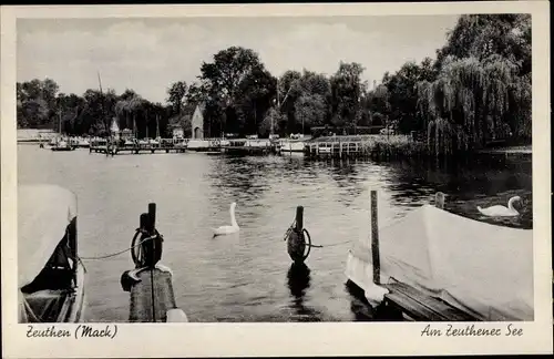 Ak Zeuthen Dahme Brandenburg, Am Zeuthener See