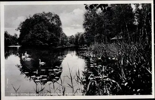 Ak Berlin Köpenick Rahnsdorf Wilhelmshagen, Hessenwinkel, Hubertussee