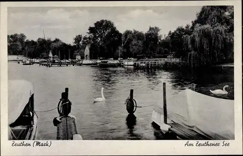 Ak Zeuthen Dahme Brandenburg, Am Zeuthener See