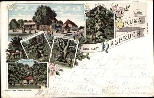 Litho Hude bei Oldenburg, Urwald Hasbruch, Dicke Eiche, Amalteneiche, Jagdhütte, Liedertafeleiche