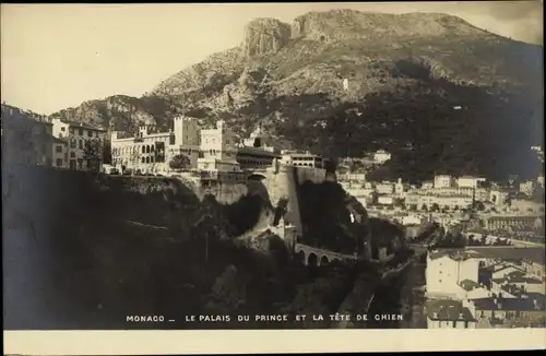 Ak Monaco, Le Palais du Prince et la Tete de Chien