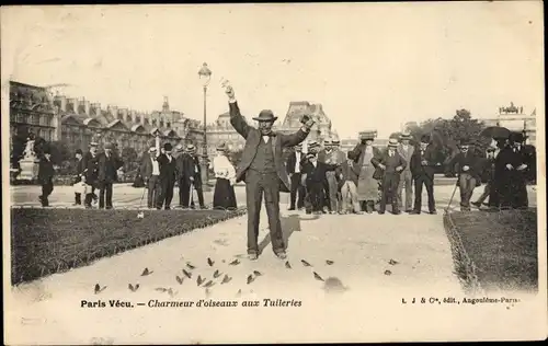 Ak Paris I, Charmeur d'oisseaux aux Tuileries