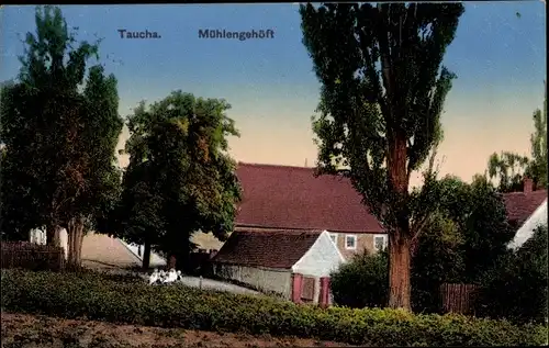 Ak Taucha in Nordsachsen, Mühlengehöft