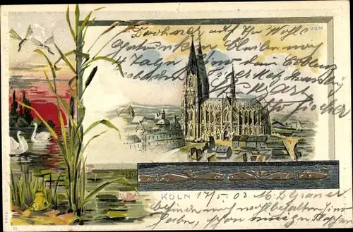 Passepartout Künstler Litho Köln am Rhein, Dom, Libellen, Schwäne, Frosch