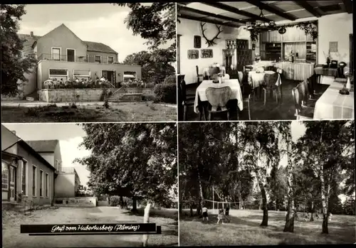 Ak Coswig in Anhalt, Hubertusberg, Terrassenpartie