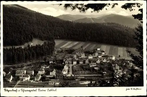 Ak Sitzendorf in Thüringen, Gesamtansicht