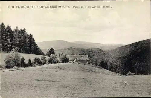 Ak Hohegeiß Braunlage im Oberharz, Partie bei Hotel Dicke Tannen