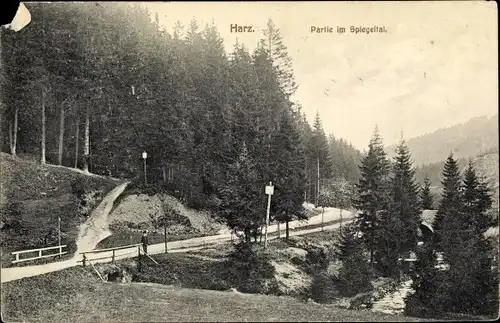 Ak Wildemann Clausthal Zellerfeld im Oberharz, Partie im Spiegeltal