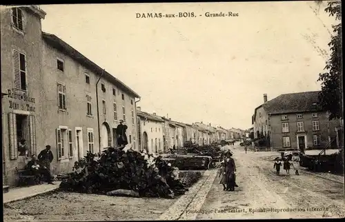 Ak Damas aux Bois Vosges, Grane Rue