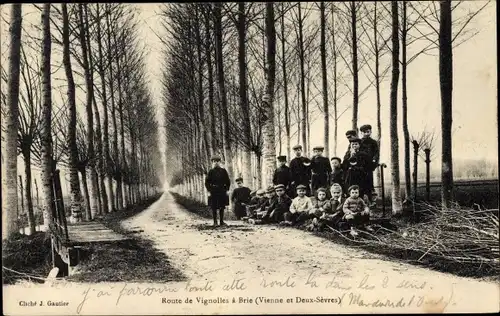 Ak Deux Sèvres, Route de Vignolles à Brie