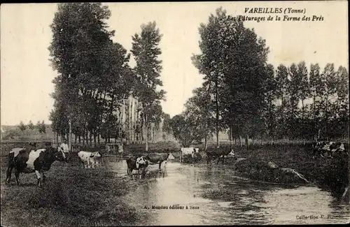 Ak Vareilles Yonne, Les Paturages de la Ferme des Pres