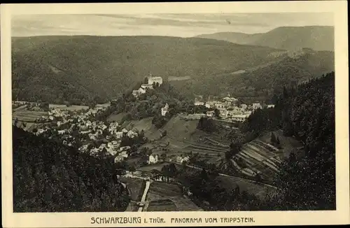 Ak Schwarzburg in Thüringen, Panorama vom Trippstein