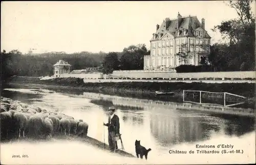 Ak Esbly Seine et Marne, Château de Trilbardou