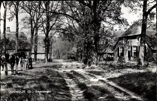 Ak Zuidwolde Drenthe, Steenbergen