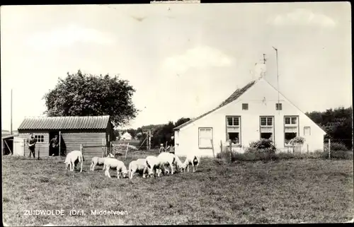 Ak Zuidwolde Drenthe, Middelveen