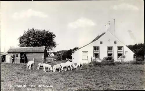 Ak Zuidwolde Drenthe, Middelveen