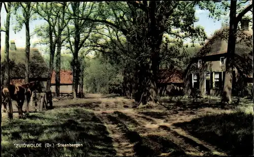 Ak Zuidwolde Drenthe, Steenbergen