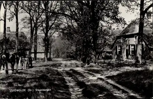 Ak Zuidwolde Drenthe, Steenbergen