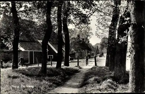 Ak Norg Midden Drenthe Drenthe Niederlande, De Steeg