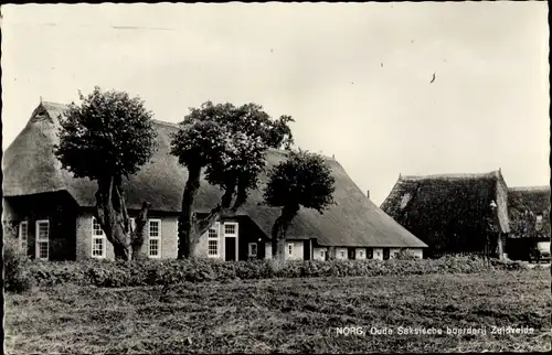 Ak Norg Midden Drenthe Drenthe Niederlande, Oude Saksische boerderij Zuidvelde