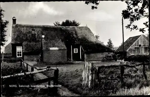Ak Norg Midden Drenthe Drenthe Niederlande, Saksisch boerderijtje Westervelde