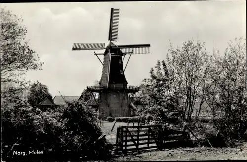 Ak Norg Midden Drenthe Drenthe Niederlande, Molen