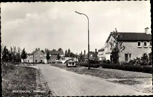 Ak Westerbork Drenthe Niederlande, Brinklaan