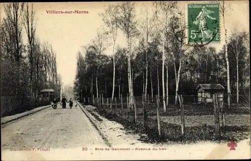 Ak Villiers sur Marne Val de Marne, Bois de Gaumont, Avenue du Lac