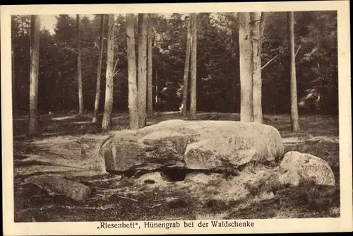 Ak Aumühle Schleswig Holstein, Riesenbett, Hühnengrab bei der Waldschenke