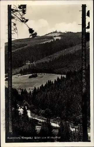 Ak Wildenthal Eibenstock im Erzgebirge, Auersberg, Landschaftsblick