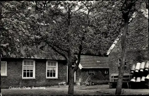 Ak Odoorn Drenthe Niederlande, Oude Boerderij, Rustige sfeer