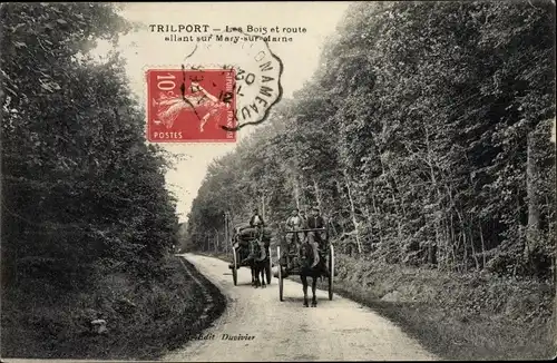 Ak Trilport Seine et Marne, Les Bois et route allant sur Mary sur Marne