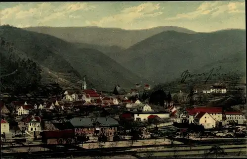 Ak Oppenau im Ortenaukreis, Blick auf den Ort im Schwarzwald