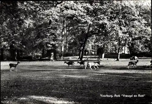 Ak Voorburg Südholland, Park, Vreugd en Rust, Rehe, Hirsche