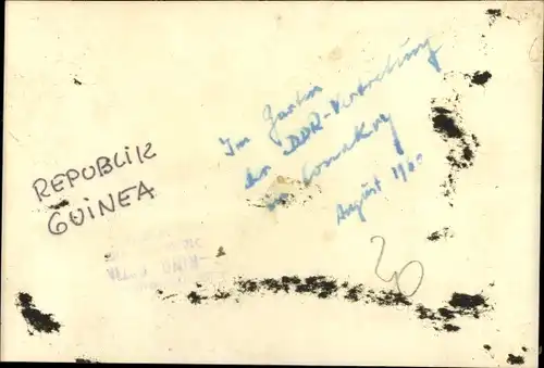 Foto Ak Kindia Guinea, Bord de la Mer avec Palmiers