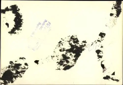 Foto Ak Kindia Guinea, Groupe de Femmes lors d´un défilé