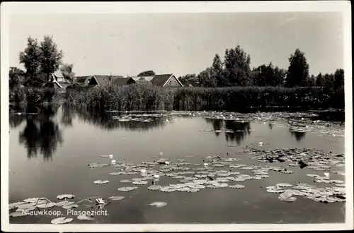 Ak Nieuwkoop Südholland Niederlande, Plasgezicht, Partie am Wasser, Seerosen