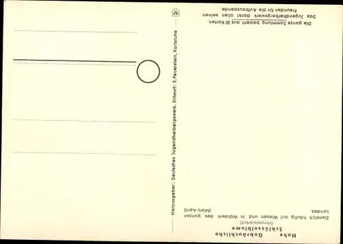 Künstler Ak Geschützte Pflanzen und Tiere der Heimat, Jugendherbergsgroschen, Schlüsselblume