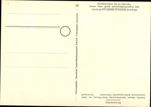 Künstler Ak Geschützte Pflanzen und Tiere der Heimat, Jugendherbergsgroschen, Sonnentau