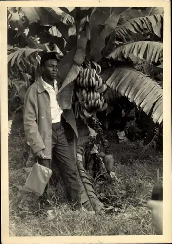 Foto Ak Kindia Guinea, Homme sous un Bananier