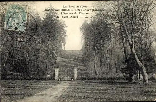 Ak Saint André de Fontenay Calvados, L'Avenue du Château