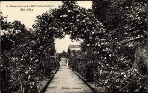 Ak L’Haÿ-les-Roses Val de Marne, Roseraie, Une Allee